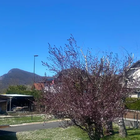 Apartment Cosy 40 M2 Climatisation - Parking Gratuit - Lit Queen Size *