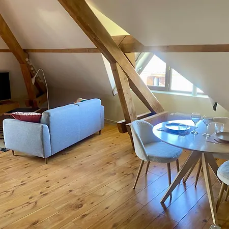 Cosy 40 M2 Climatisation - Parking Gratuit - Lit Queen Size *