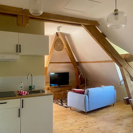 Cosy 40 M2 Climatisation - Parking Gratuit - Lit Queen Size * Annecy
