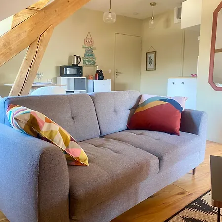Cosy 40 M2 Climatisation - Parking Gratuit - Lit Queen Size Apartment