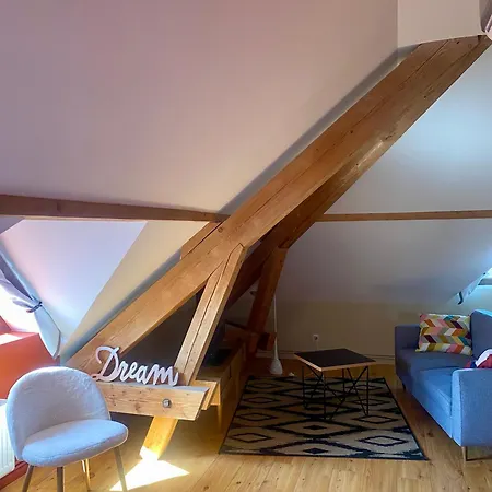 Cosy 40 M2 Climatisation - Parking Gratuit - Lit Queen Size Apartment Annecy
