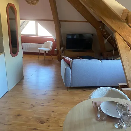 Cosy 40 M2 Climatisation - Parking Gratuit - Lit Queen Size Annecy