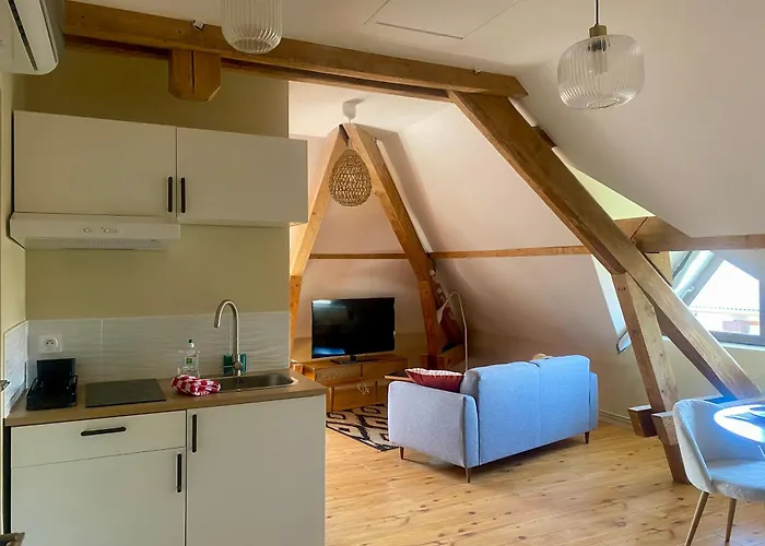 Cosy 40 M2 Climatisation - Parking Gratuit - Lit Queen Size * Annecy
