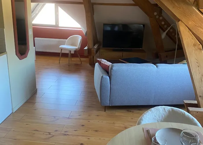 Cosy 40 M2 Climatisation - Parking Gratuit - Lit Queen Size Annecy
